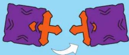 Thames & Kosmos Creatto Flashy Fish & Silly Swimmers - 1