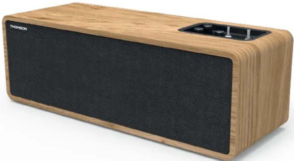 THOMSON WS902DUO - Stationärer Laufsprecher - 1
