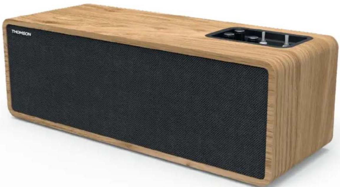 THOMSON WS902DUO - Speaker voor in huis - 1