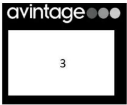 AVINTAGE AVI178PLATINUM - AVI45PLATINUM (Zona simple) - 2