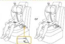 Joie i-Irvana Max - For installation with 3-point belt + ISOFIX system - 2
