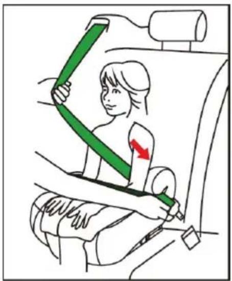 Chipolino ISOFIX Go Boost Iso - Chipolino - 8