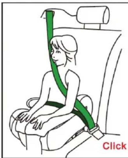 Chipolino ISOFIX Go Boost Iso - Chipolino - 9