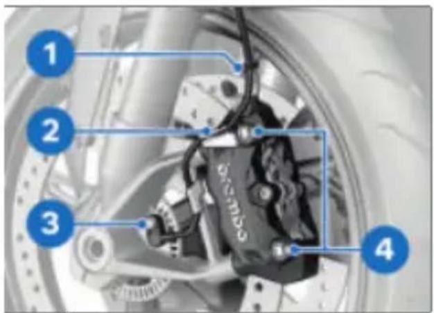 BMW S 1000 XR (2025) - Nm - 3