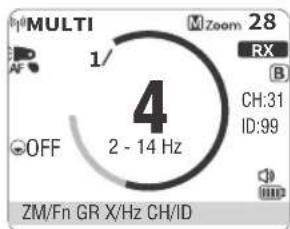 MULTI 1/ 4 2 - 14 Hz OFF M Zoom 28 RX B CH:31 ID:99 ZM/Fn GR X/Hz CH/ID