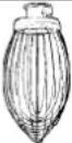 Dito Sama 600151 - CAPACITES MAXIMALES - 4
