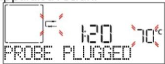 1:20 70°C PROBE PLUGGED