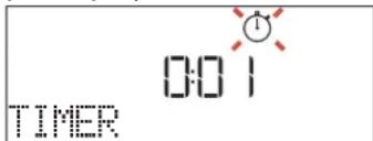 BAUKNECHT BCW7O7HTSK - TIMER - 1