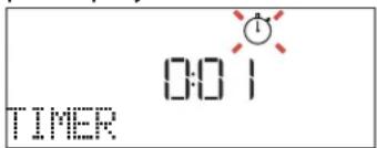 BAUKNECHT BCW7O7HTSK - TIMER - 1