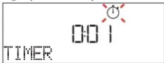 BAUKNECHT BCW7O7HTSK - TIMER - 1