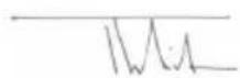 Weller Laser Line 400V - imha etme - 2