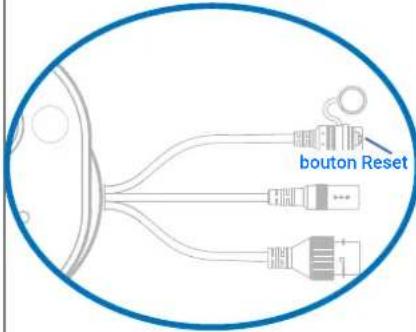 SWANN SODVK-84680W8SQ - MÉTHODE B - VIA LE BOUTON DE RÉINITIALISATION PHYSIQUE (SI L'ÉTAT DE LA CAMÉRA EST HORS LIGNE) - 5