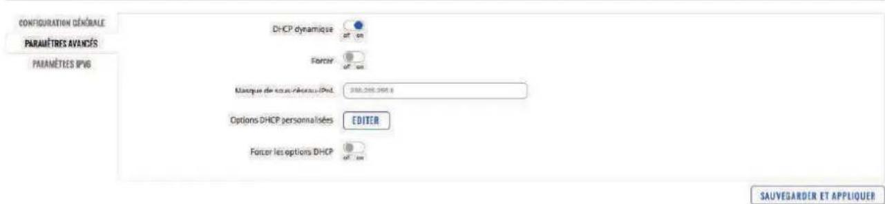 CONFIGURATION GÉNÔRALE PARAMÉTRÉS AVANÇÉS PARAMÉTRES IPVG DHCP dynamique Forcer Mascque de sous-réduoi-Psd. EUR.206.348.8 Options DHCP personnalisées EDITER Forcer les options DHCP SAUVEGARDER ET APPLIQUER