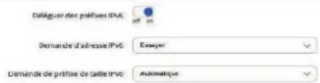 Déléguer des préfuses IPv6 Demande d'adresse IPv6 Essayer Demande de préfixe de saillie Invo Automatique