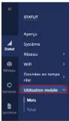 STATUT Aperçu Système Réseau WIFI Données en temps rêel Utilisation mobile Mois Total