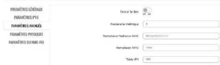 PARAMÈRES GÉNÉRAUX PARAMÈRES PYS PARAMÈRES AVANCÉS PARAMÈRES PHYSIQUES PARAMÈRES DU MARE-FEU Forcer le lien Passarallé métrique 1 Remplacer l'adresser MAC 00-1=50 Remplacer MTV 1000 Table IP4 300