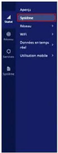 Aperçu Système Réseau WiFi Données en temps réel Utilisation mobile