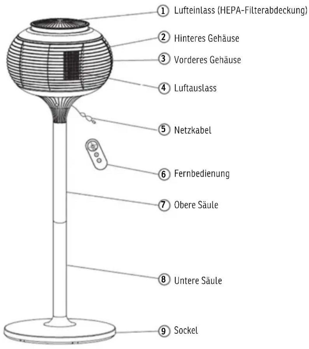 Sonnenkönig IBRIG - TEILBESCHREIBUNG - 1