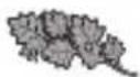 MOULINEX La Moulinette DPA1G - SICHERHEITSHINWEISE - 12