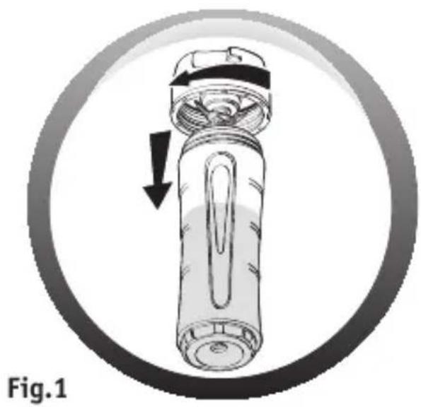 MOULINEX Personal Blender LM1A0D - 2