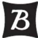 Burley Dash X FM - IMPORTANTE - 1