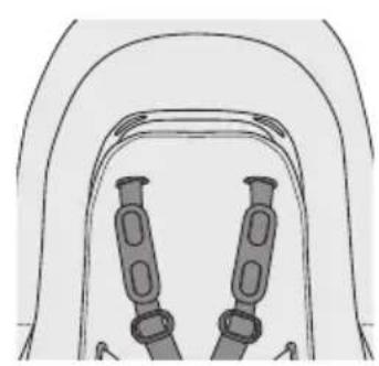 Burley Dash X FM - Adjusting the Harness - 2