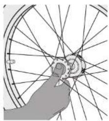 Burley Bark Ranger - Attaching & Removing the Wheels - 6
