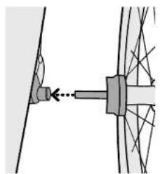 Burley Bark Ranger - Attaching & Removing the Wheels - 1