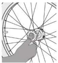 Burley Bark Ranger - Attaching & Removing the Wheels - 2