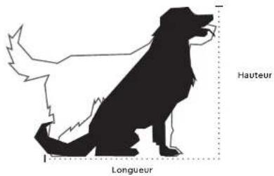 Burley Bark Ranger - ADVERTENCIA - 1