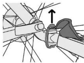 Burley Hopper - Trailer From Your Bike - 1