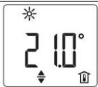 STIEBEL ELTRON CWM P - Standaarddisplay - 1