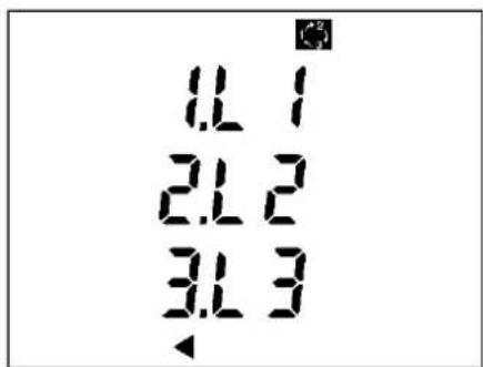 1L 1 2L 2 3L 3