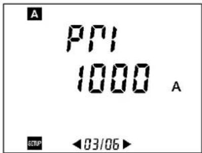 A PPI 1000 A SETUP ←03/06→