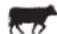 Pit Boss PBV7P1 - PECAN BLEND - 1