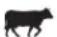 Pit Boss PBV7P1 - HICKORY BLEND - 1