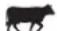 Pit Boss PBV7P1 - MESQUITE BLEND - 1