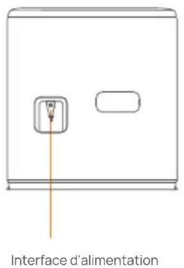 Narwal Freo Z10 - Station de base - 3