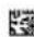 LEGO Jurassic World 76972 - YOU COULD WIN - 2
