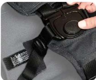 Bumbleride Era - Using the harness - 6