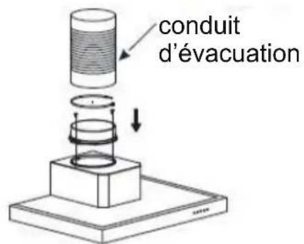 Apelson TALIA 601 - absolument : - 7