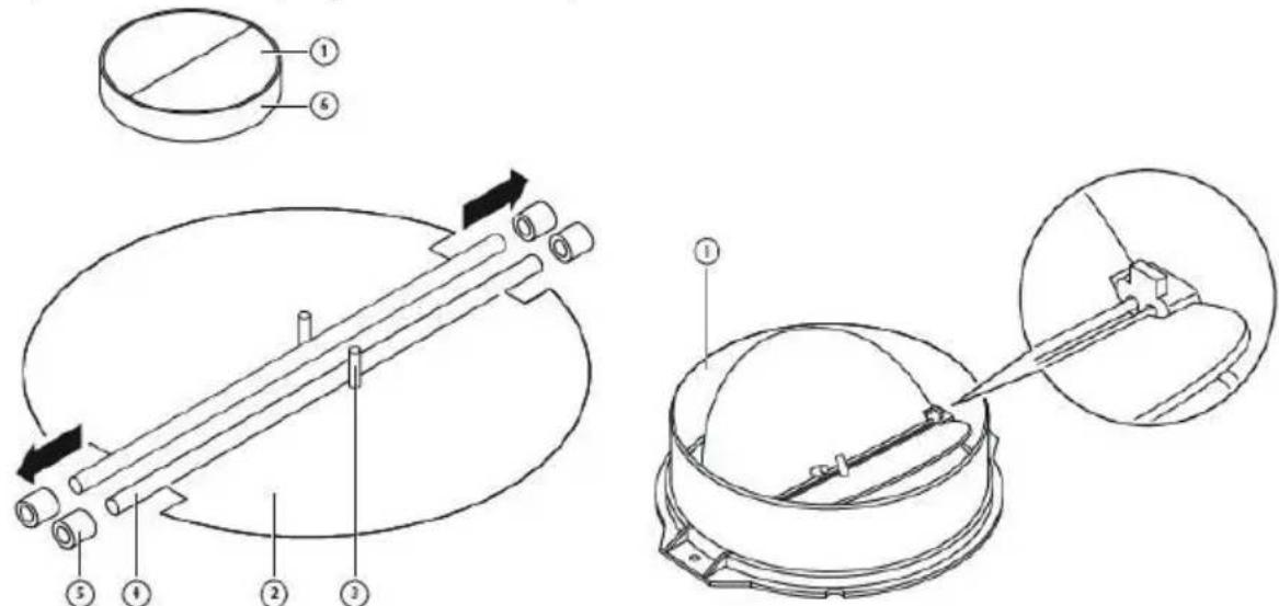 Apelson TALIA 601 - absolument : - 3