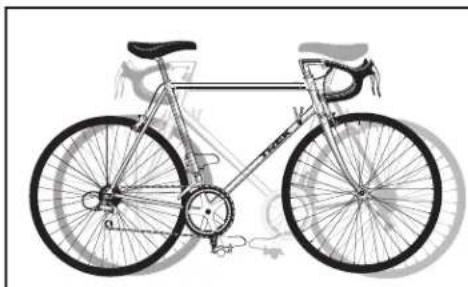 Saris Guardian 2 - LOAD AND SECURE BIKES: - 3