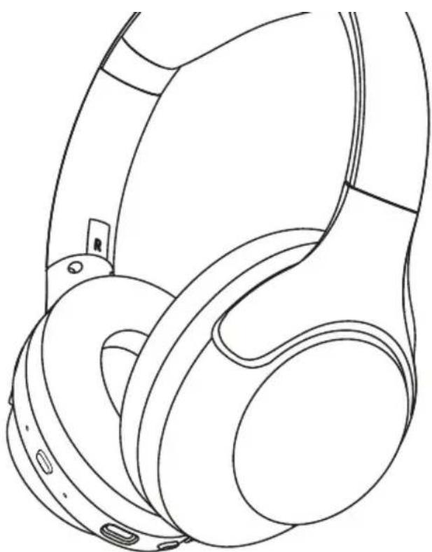 DCU 34152515 - INSTRUÇÕES DE VOZ - 3