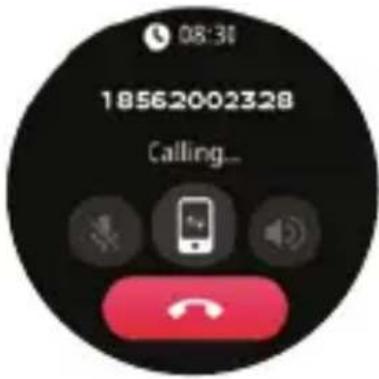 DCU Boston - Bluetooth calls: - 1
