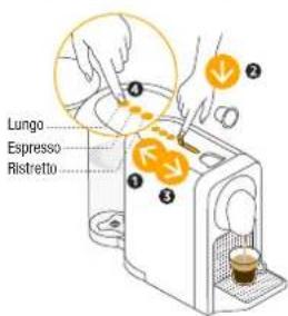 KRUPS Nespresso Prodigio - Preparación de café normal / Preparação de Café Normal - 2