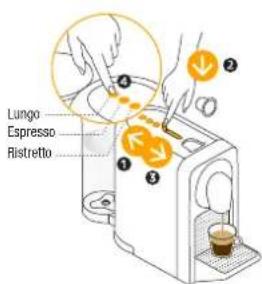 KRUPS Nespresso Prodigio - Mettez la machine sous - 1