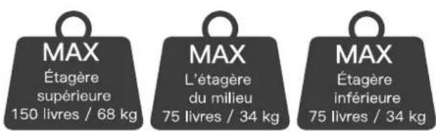 ErgoAV ERTFS5-01BB - Restrictions de poids - 2