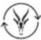 Antelope Corefit II - Arrêt automatique - 2