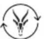 Antelope Corefit II - Spegnimento automatico - 8